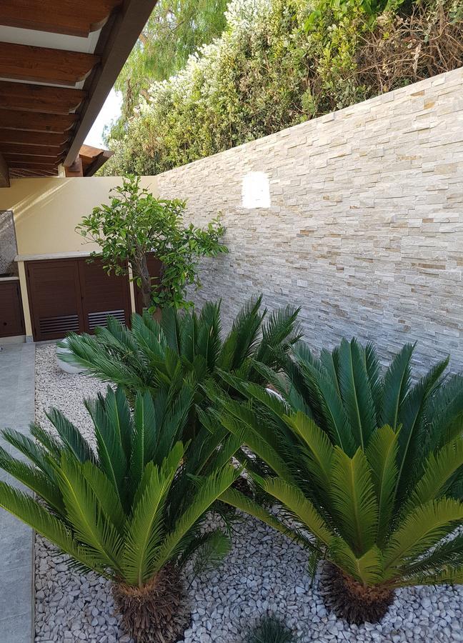 B&B Aloe Comfort Rooms Сан Вито ло Капо Екстериор снимка