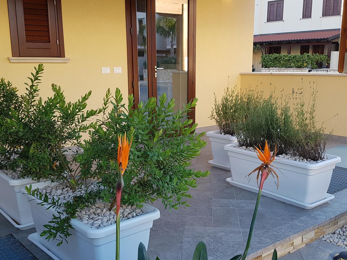 B&B Aloe Comfort Rooms Сан Вито ло Капо Екстериор снимка